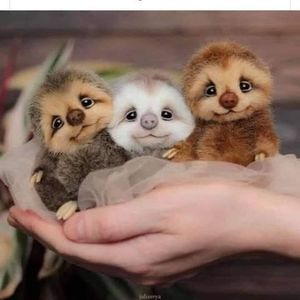 Meet your Posher, Danialle